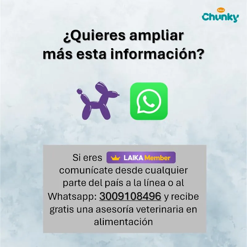 Chunky - Alimento Sabor a Pavo Menú Natural