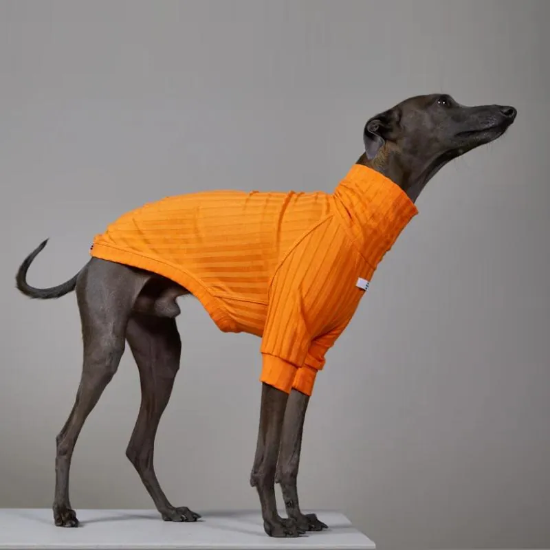 The Striped Dog - Suéter Naranja Cuello Tortuga