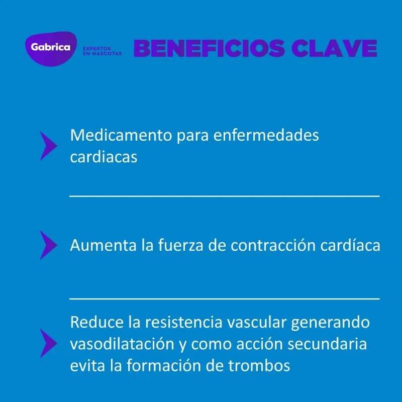 Holliday - Pimocard 2.5 mg