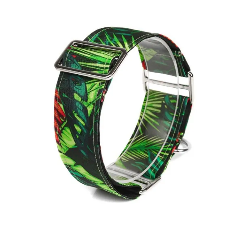 Bellcher - Collar Martingale Amazonas 2.5 Cm