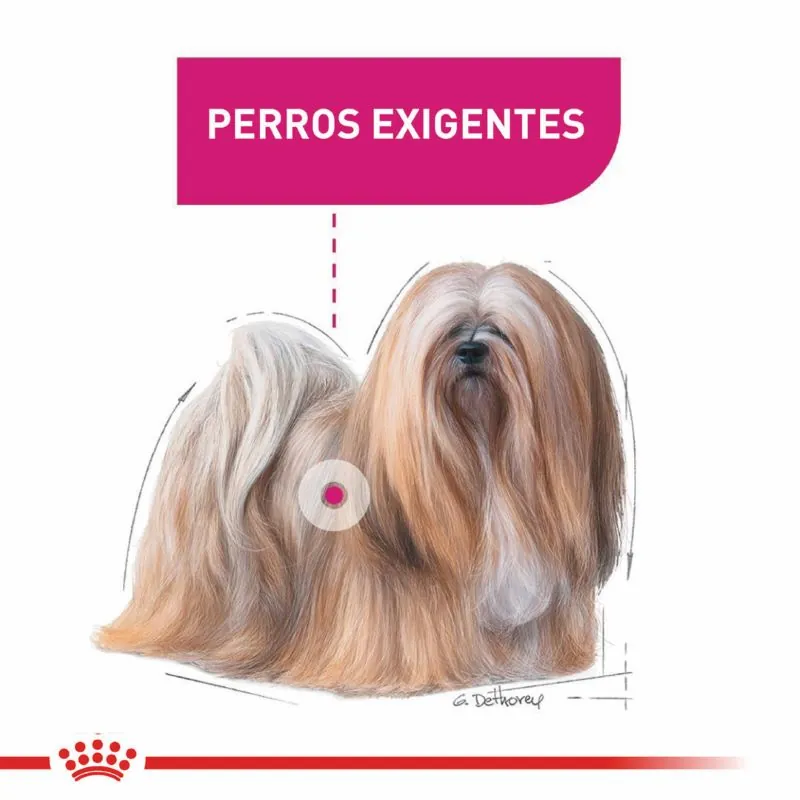 Royal Canin - Alimento Perro Mini Exigent