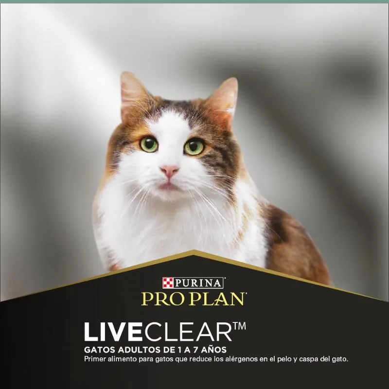 Pro plan - Cat Live Clear