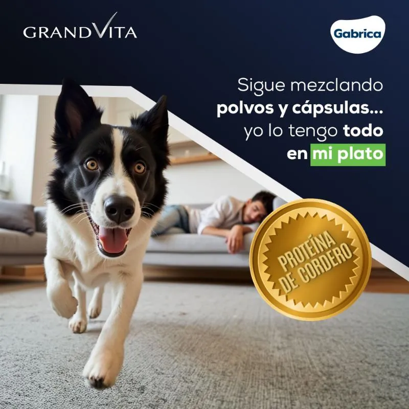 Grand Vita - Perros Adultos Cordero