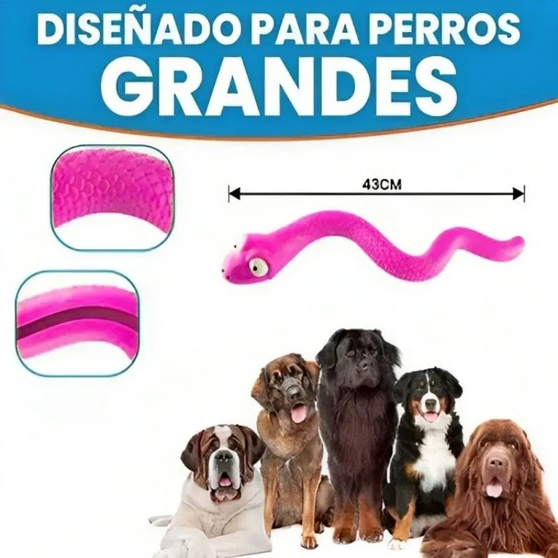 Paw Day - Juguete Mordedor Serpiente Interactiva