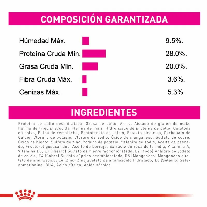 Royal Canin - Alimento Perro Mini Exigent