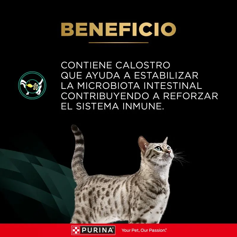 Pro Plan Veterinary Diets - EN Dietas Gastroentérico Gato