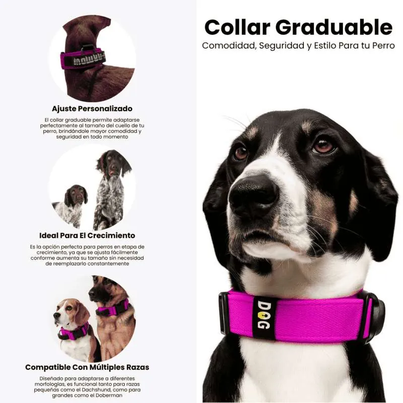 Dogerpilar - Collar Fucsia