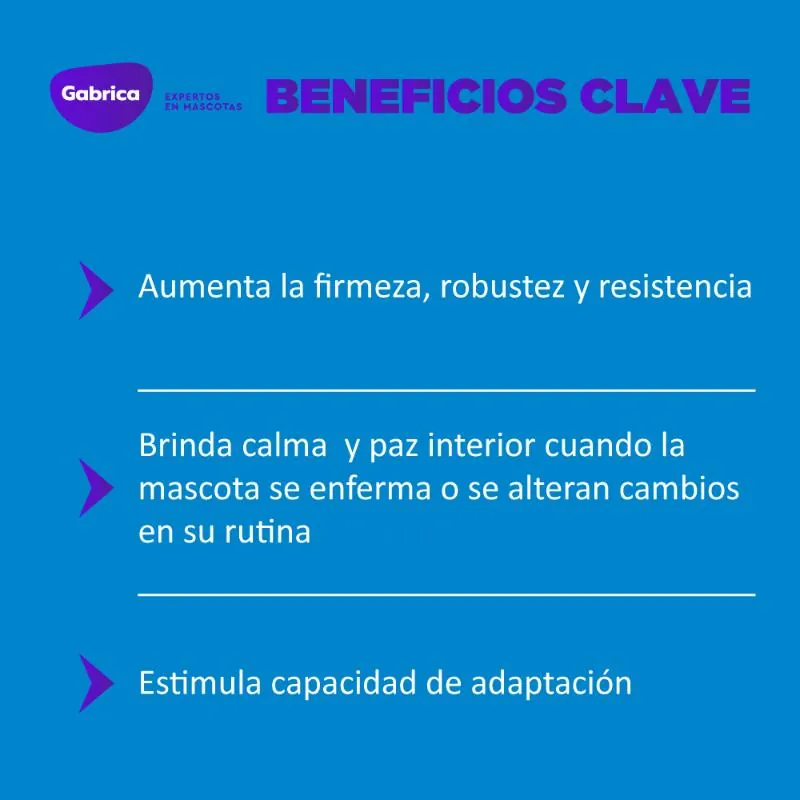 Esencias Gabrica - Esencias Florales De Estrés