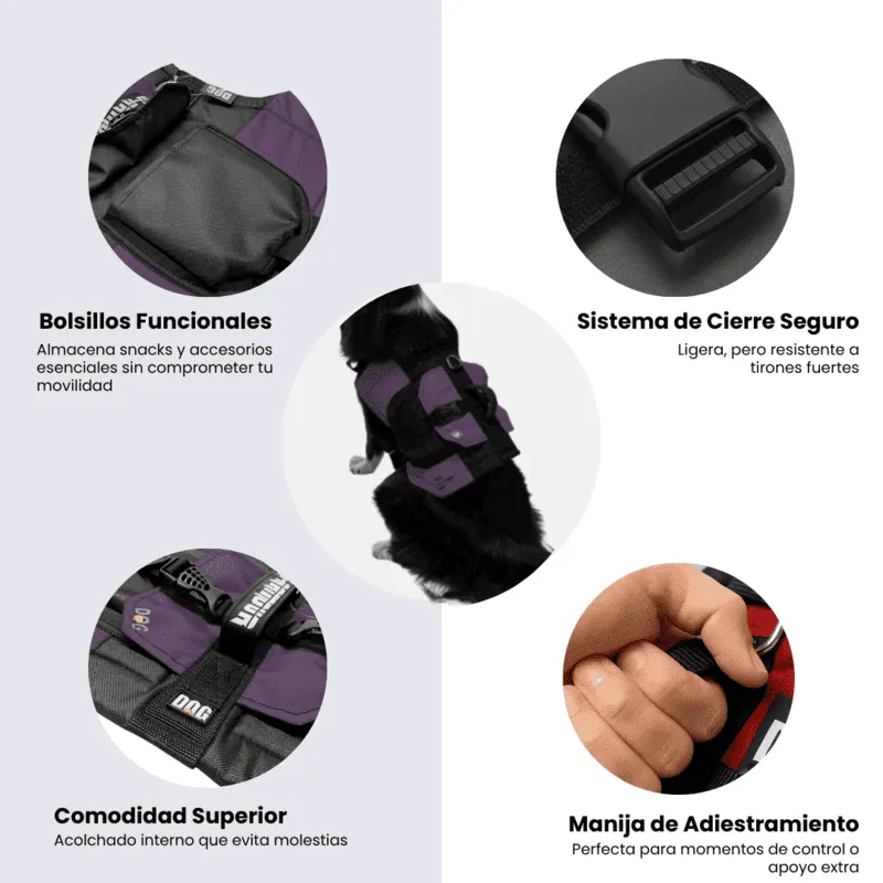 Dogerpilar - Chaleco Bolsillos Morado