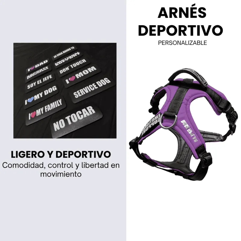 Dogerpilar - Arnés Deportivo Morado