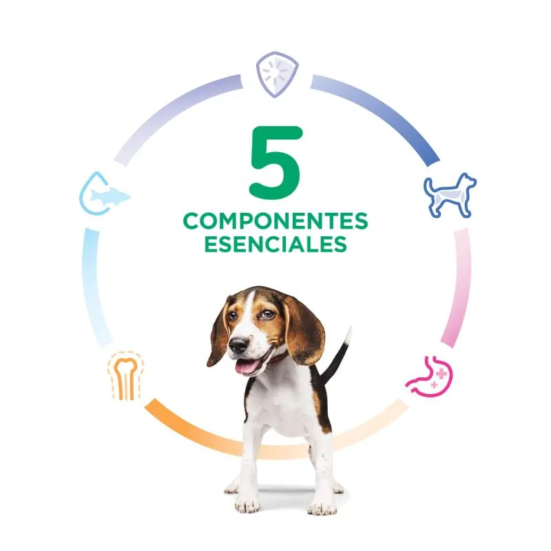 Hills Sd - Puppy Alimento Saludable Para Perro Chachorro Sabor Pollo
