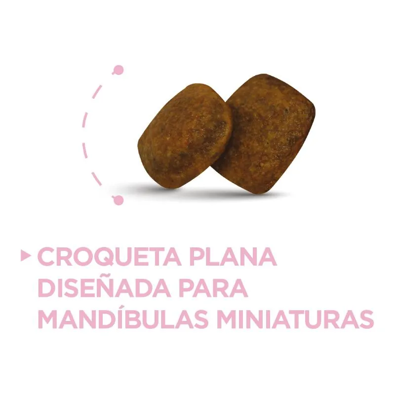 Nupec - Adulto Razas Mini