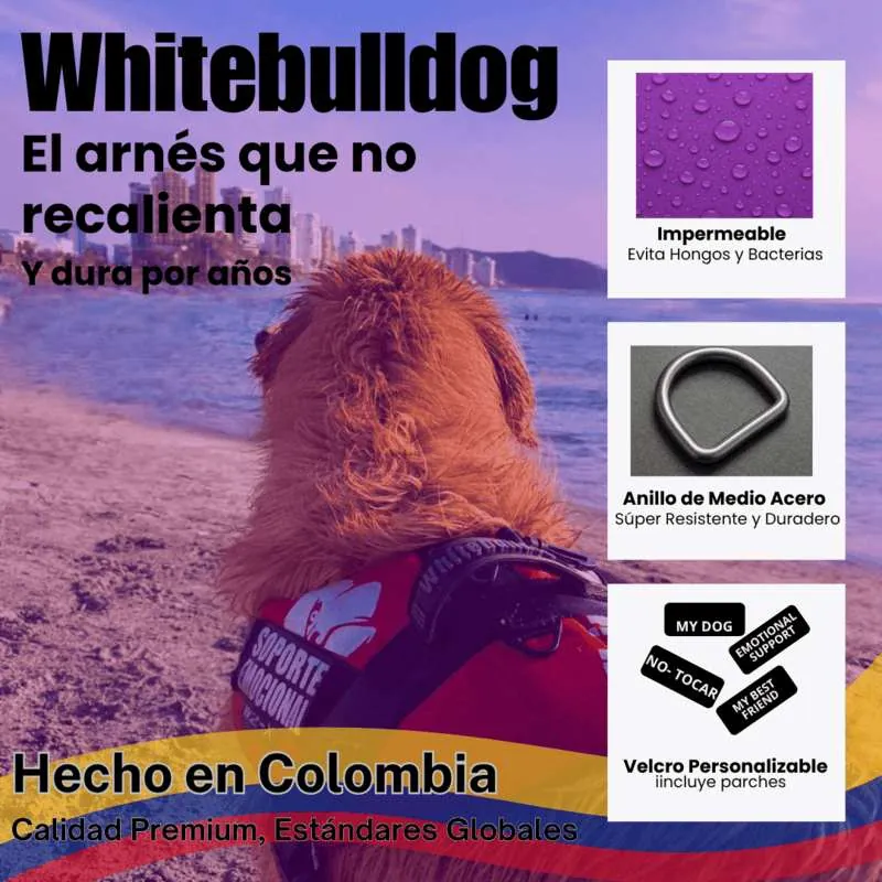 Whitebulldog - Arnés W2 X Lila