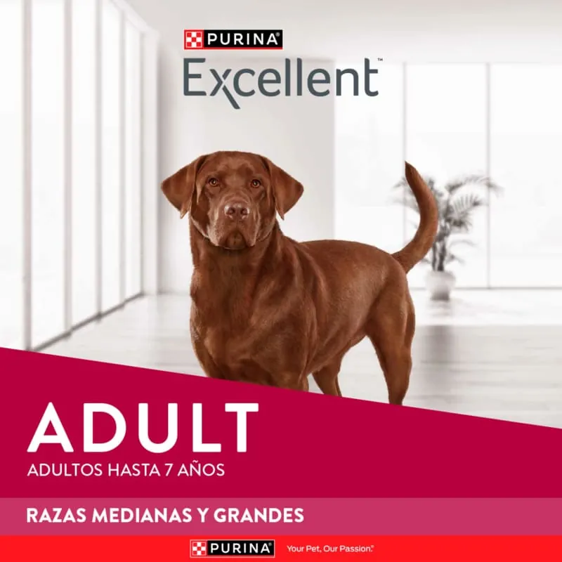 Excellent - Adulto Razas Medianas Y Grandes Pollo Y Arroz