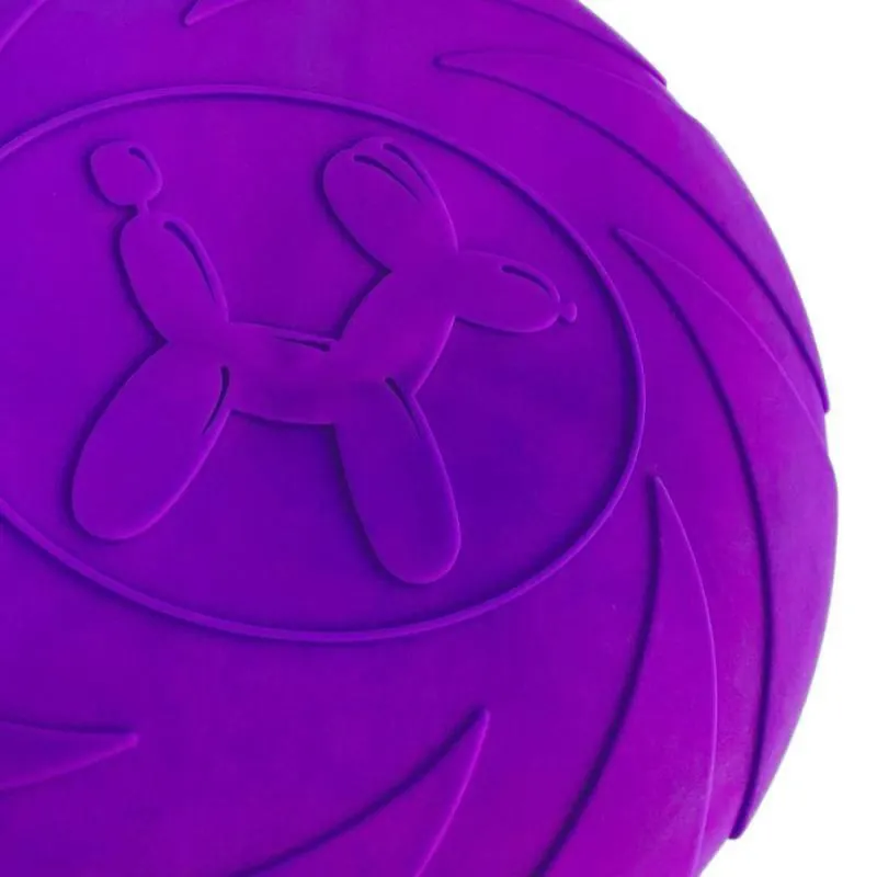 Paw Day - Frisbee Interactivo