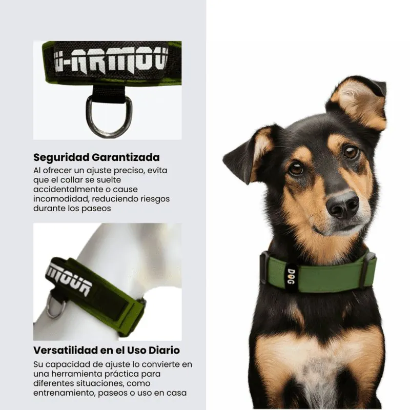 Dogerpilar - Collar Verde Militar