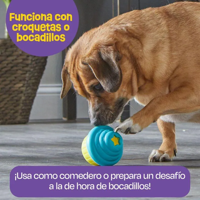 Brightkins - Dispensador Pequeño De Premios En Forma De Cupcakes