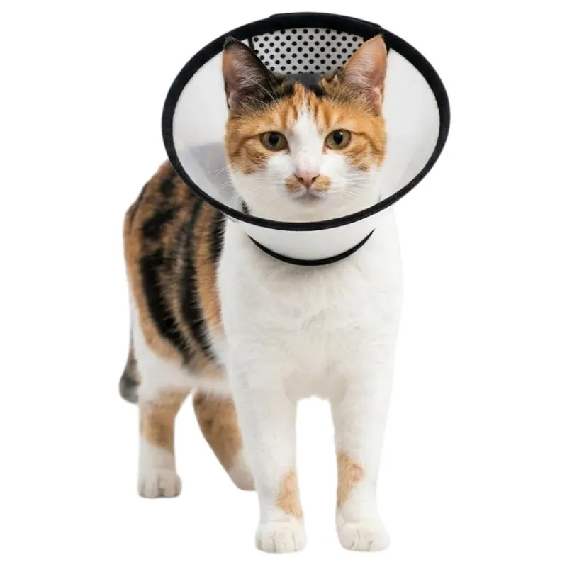 Paw Day - Collar Isabelino Ajustable para Perros y Gatos