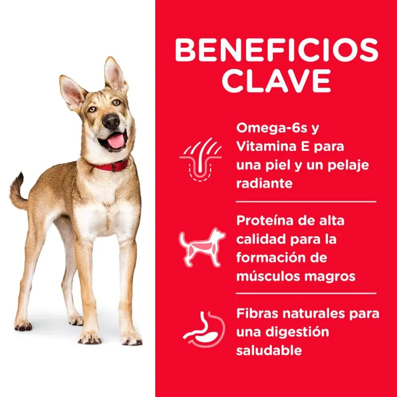 Hills Sd- Alimento Saludable Perro Adulto Sabor Cordero