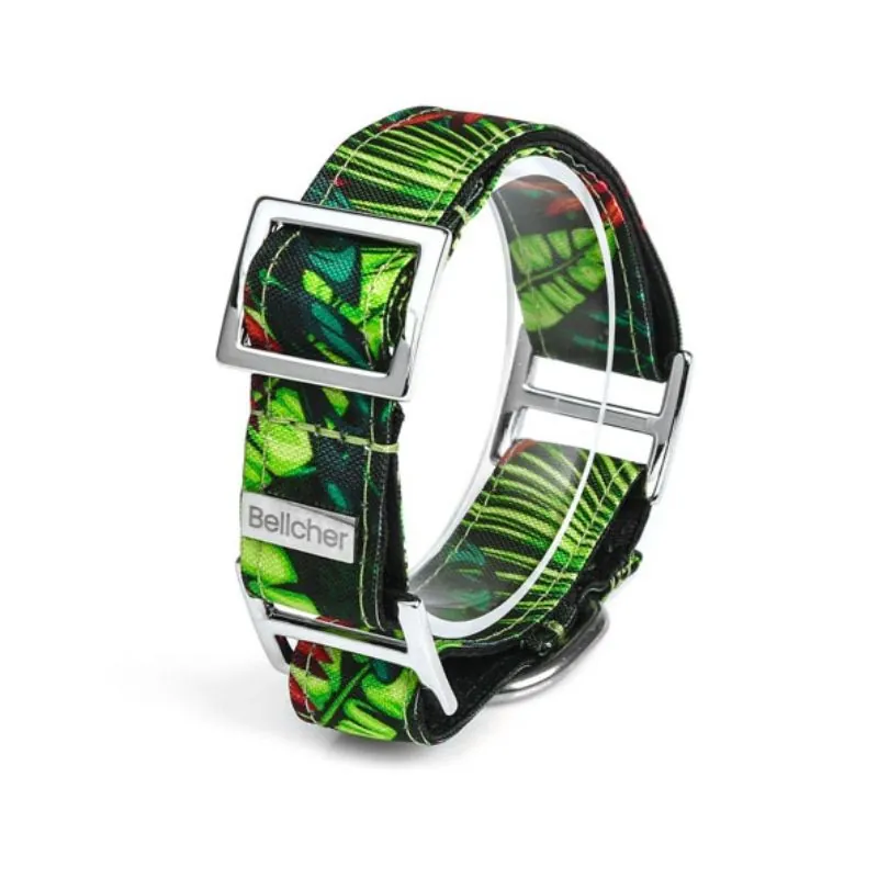 Bellcher - Collar Martingale Amazonas 2.5 Cm