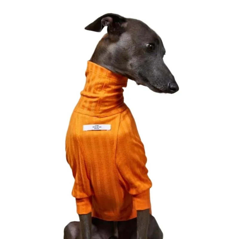 The Striped Dog - Suéter Naranja Cuello Tortuga