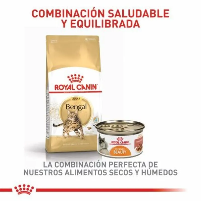 Royal Canin - Bengali Adulto