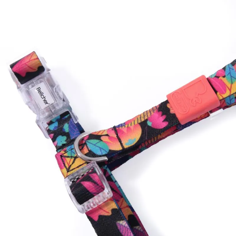 Bellcher - Arnés Tipo H Hawai Pop 1.5 Cm