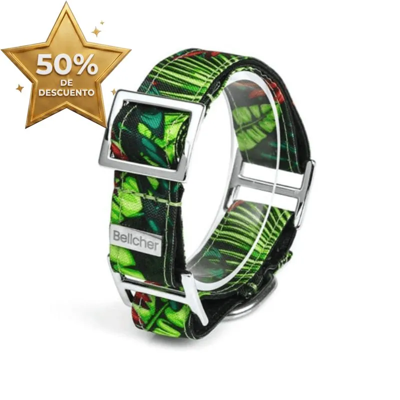 Bellcher - Collar Martingale Amazonas 2.5 Cm