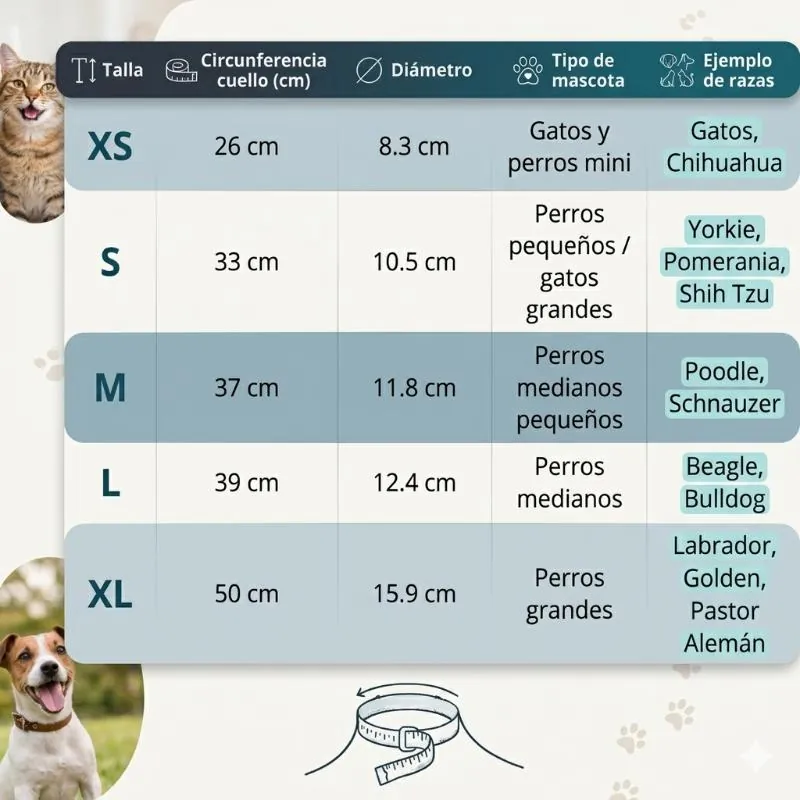 Paw Day - Collar Isabelino Ajustable para Perros y Gatos