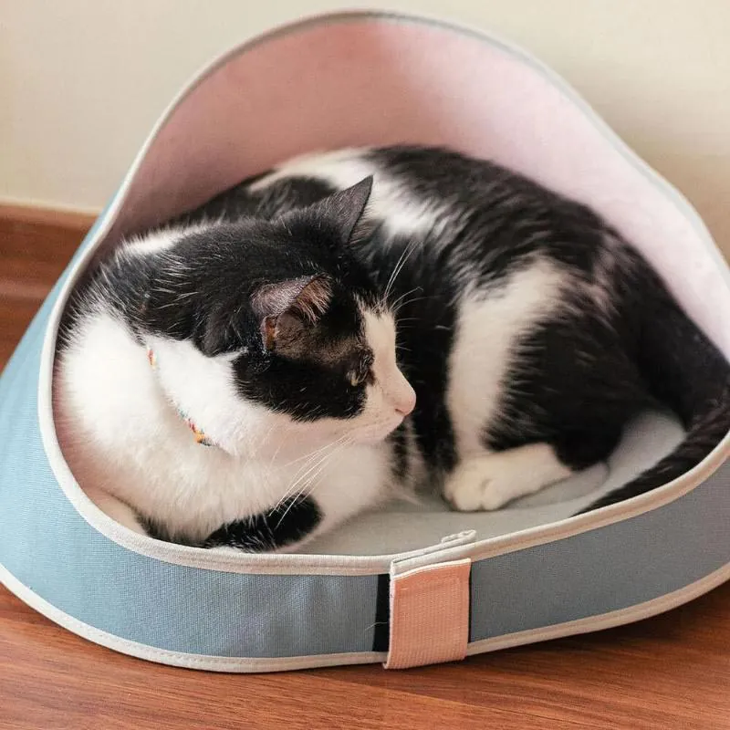 Zeecat - Bed Mascota