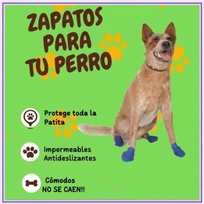 Flipsdogs - Flips Dogs Zapatos Para Perro