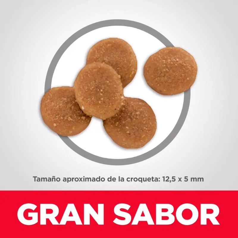 Hills Sd - Alimento Gato Adulto Piel Y Estómago Sensible Sabor Pollo