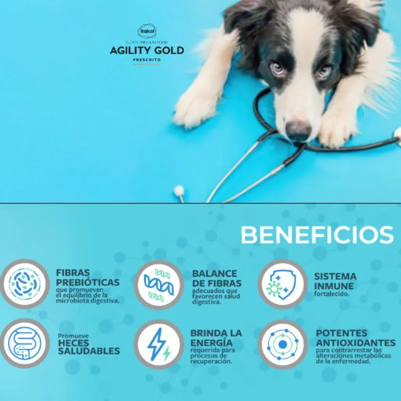 Agility Gold - Enterico Gastrointestinal Lata