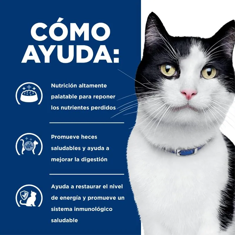 Hills Pd - I/D Alimento Húmedo Para Gato Cuidado Digestivo Sabor Pollo
