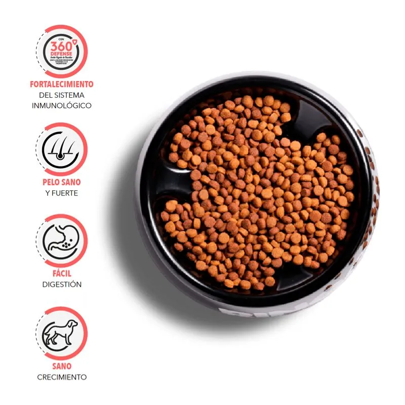 Ringo + Pro - Alimento Seco para Cachorros
